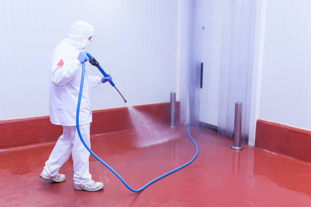Best Driveway Pressure Washing  in Des Allemands, LA