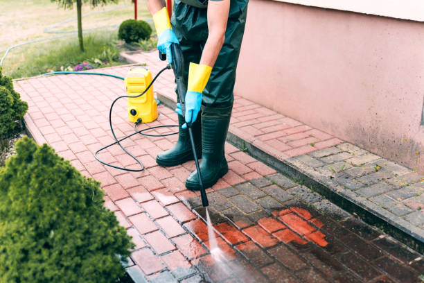 Best Gutter Cleaning  in Des Allemands, LA